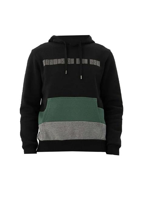 Arma Sweatshirt  grå / mørkegrøn / sort