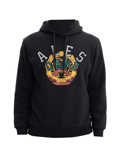 Arma Sweatshirt  blandingsfarvet / sort