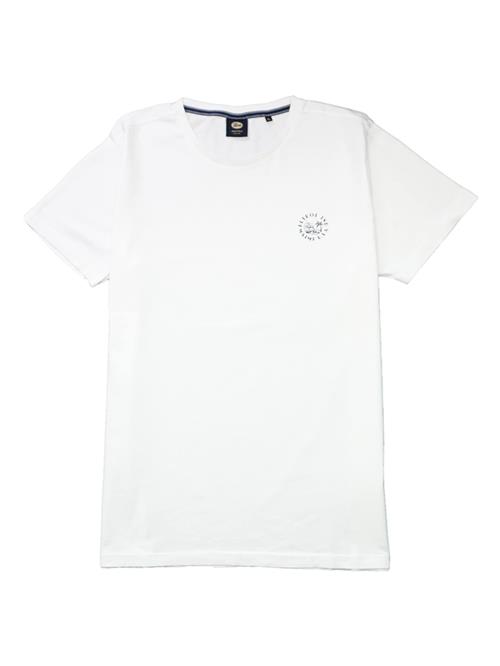 Petrol Industries Bluser & t-shirts  hvid