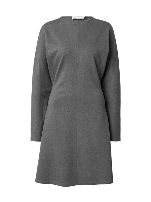 ARMEDANGELS Kjole 'CALINAA'  grå