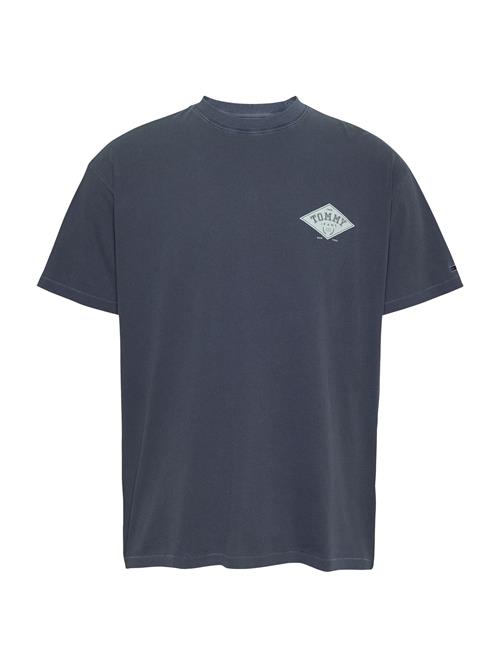 Tommy Jeans Bluser & t-shirts 'VARSITY'  ensian / pastelblå