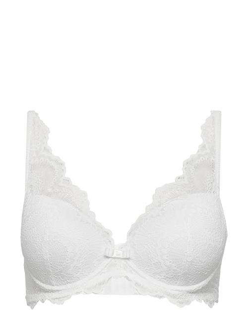 Missya | Tanya Bra Fill | D x 80