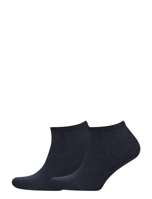 Tommy Hilfiger | Th Women Sneaker 2P | 35-38