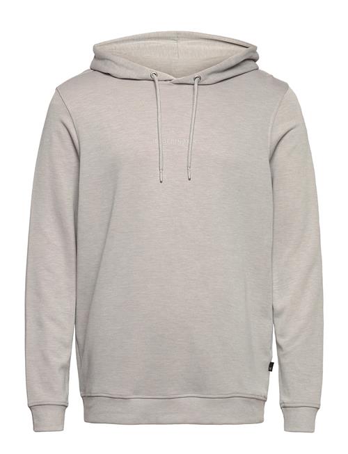 JBS of Denmark | Jbs Of Dk Logo Hoodie Fsc | L