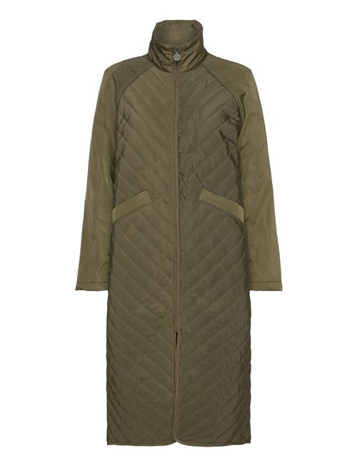 Global Funk | Haniya-G | M