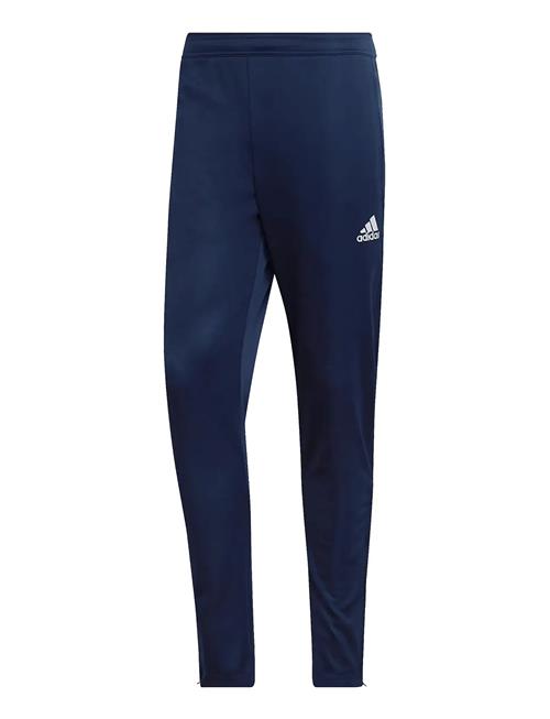 adidas Performance | Ent22 Tr Pnt | S