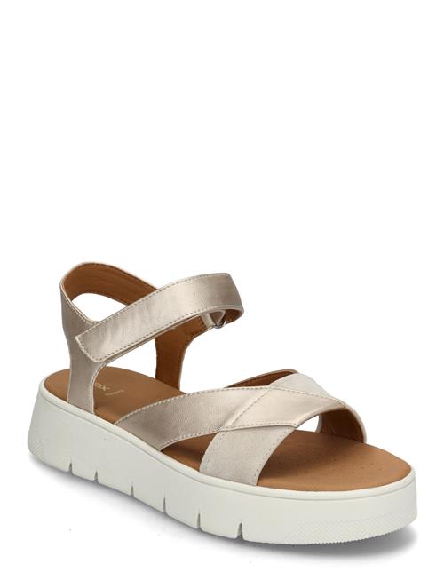 GEOX | D Dandra 40 B | 41