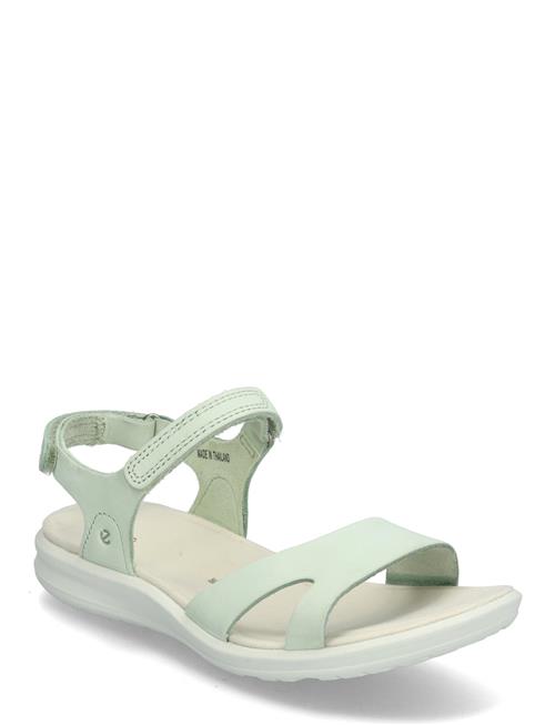 ECCO | Cruise Ii | 39