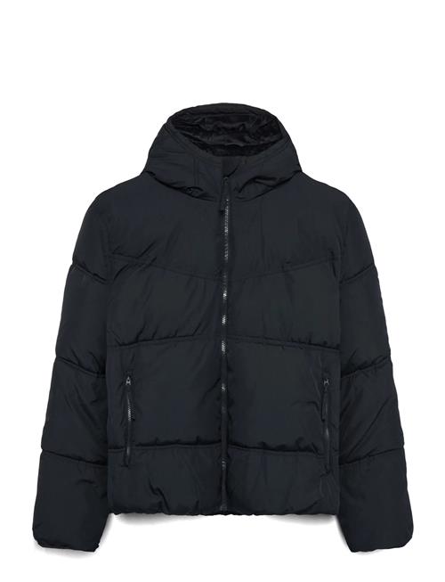 Hollister | Hco. Guys Outerwear | M