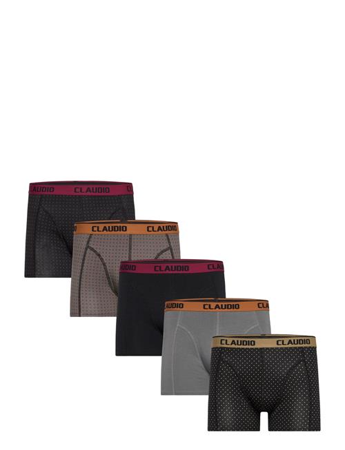 Claudio | Claudio 5-Pack Tights | XL