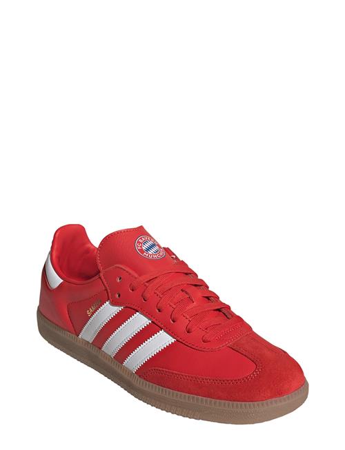 adidas Performance | Samba Licensed | 46