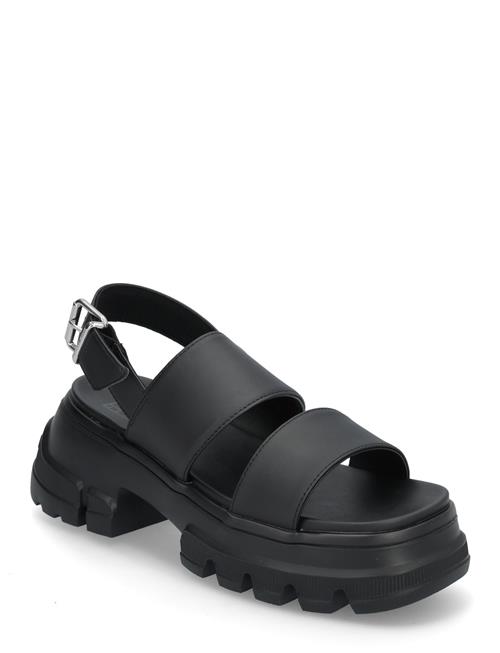 Tommy Hilfiger | Tjw Chunky City Sandal | 38
