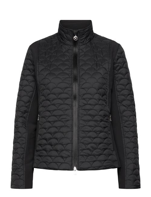 Daily Sports | Quilt Padded Jacket | XXL