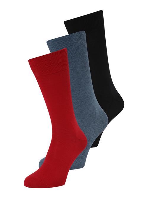 FALKE Sokker 'Family'  dueblå / rød / sort