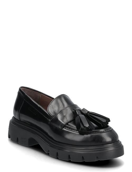 Wonders | Bones 03 | 41