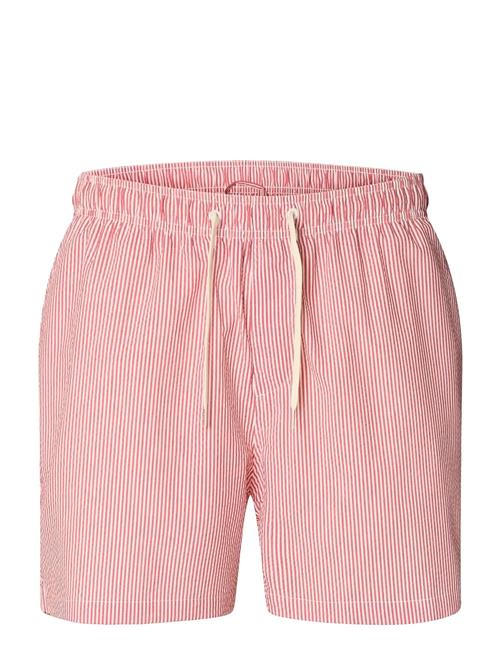 Selected | Slhcooper-Seersucker Swimshorts | XL