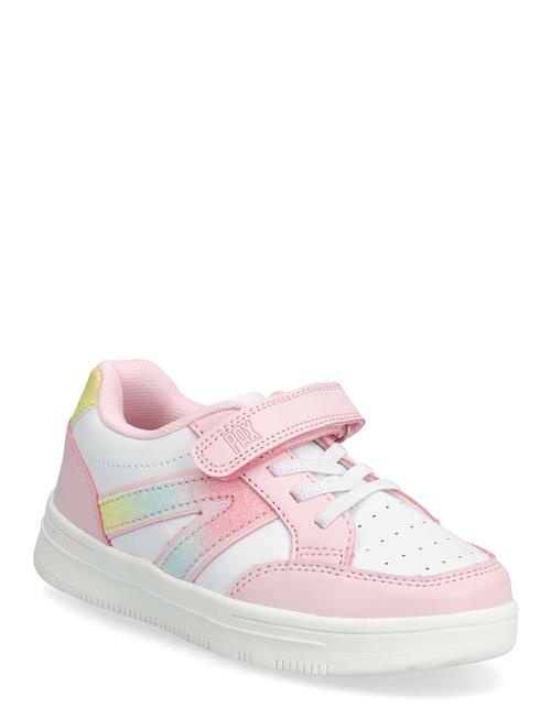 PAX | Blaze Pax | 31