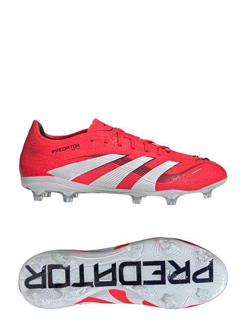adidas Performance | Predator Pro Fg | 42 2/3