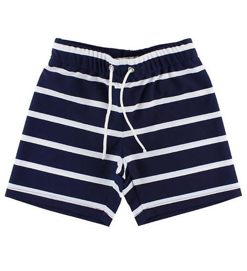 Petit Crabe Badeshorts - Alex - Navy/Hvidstribet
