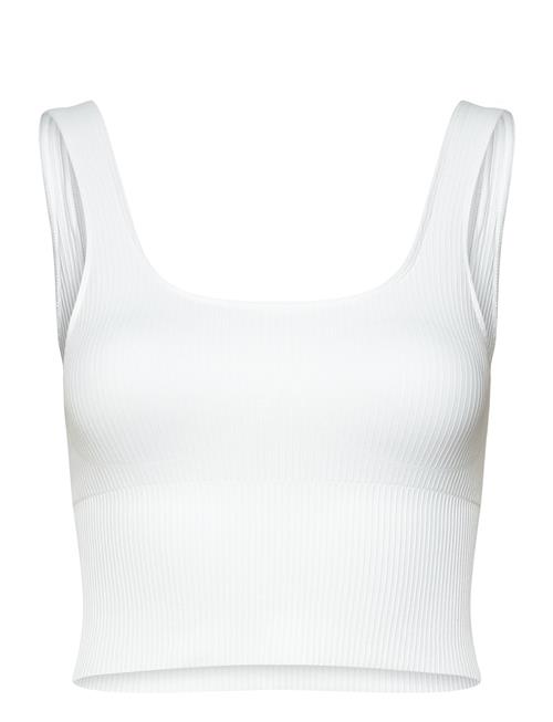 aim´n | Ribbed Seamless Shaping Bralette | M