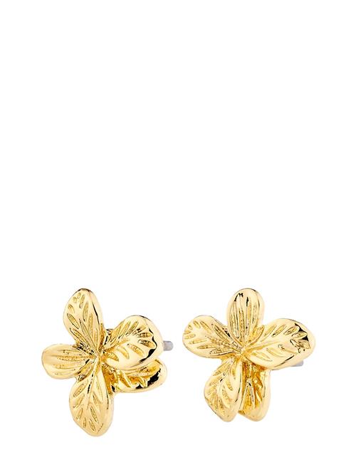 Pilgrim | Charmaine Earrings Gold-Plated | ONE SIZE