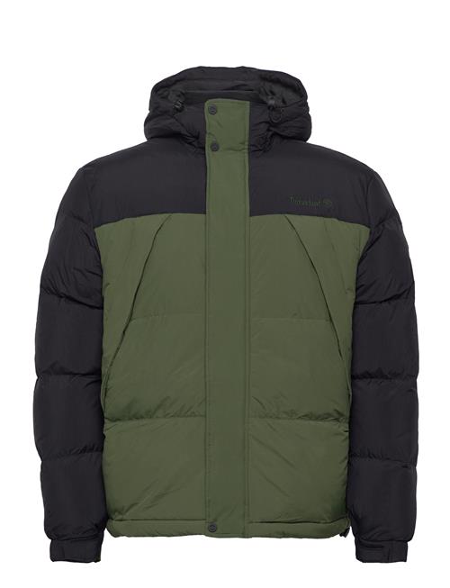 Se Timberland | Durable Water Repellent Puffer Jacket Black/Black Forest Green | L hos Booztlet