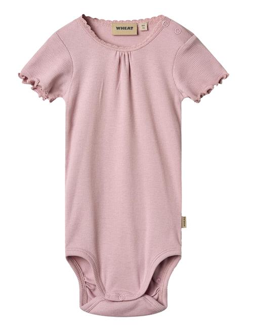 Wheat | Rib Body S/S Edna | 74