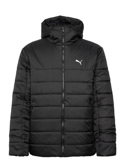 PUMA | Ess Hooded Padded Jacket | S