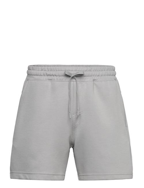 Hollister | Hco. Guys Shorts | XXL