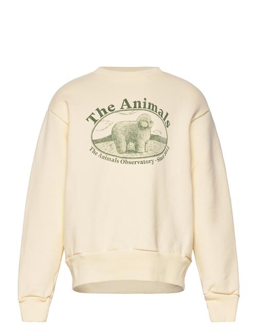 THE ANIMALS OBSERVATORY | Bear Kid Sweatshirt White Logo | 8 Y