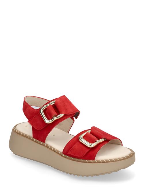 Gabor | Sandal | 42