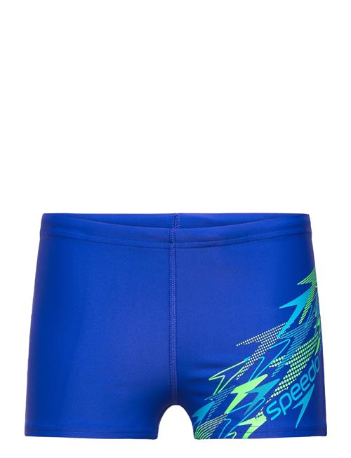 Speedo | Medley Logo Aquashort | 152