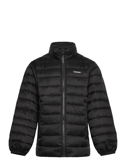 Jack & Jones | Jjlouis Light Puffer Collar Jnr | 152