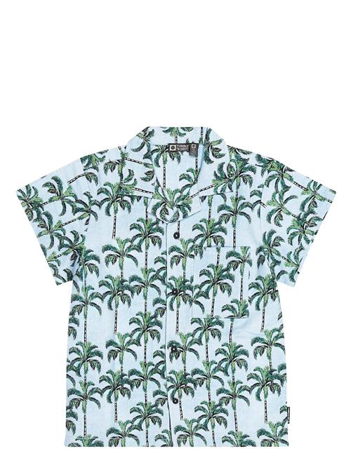 TUMBLE 'N DRY | Tnd Palm Island | 158/1