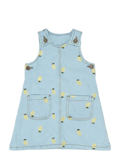 The New | Tnstsaja S_L Denim Dress | 110