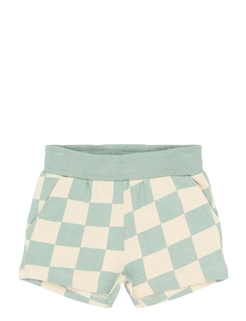 The New | Tnstsebastian Shorts | 110