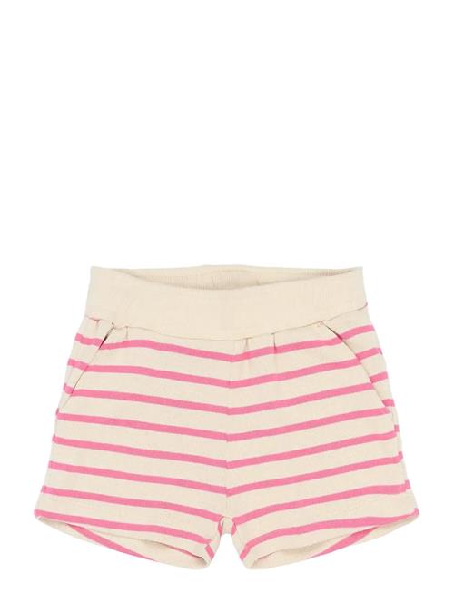 The New | Tnstsannah Shorts | 104
