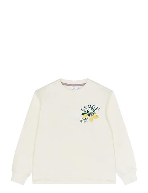 The New | Tnsafina Sweatshirt | 146/152