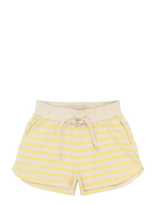 The New | Tnshannon Shorts | 158/164