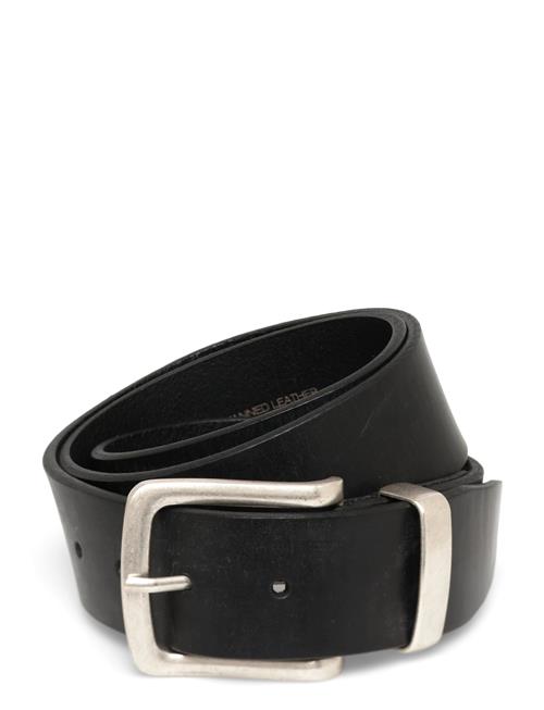 Saddler | August | 90 CM