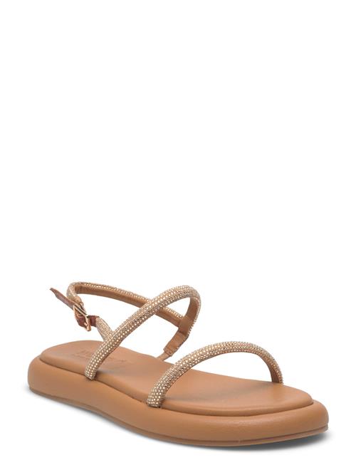 WODEN | Monica Crystal | 40