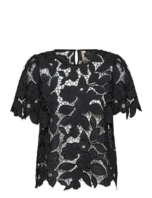 Soyaconcept | Sc-Cassandra | S