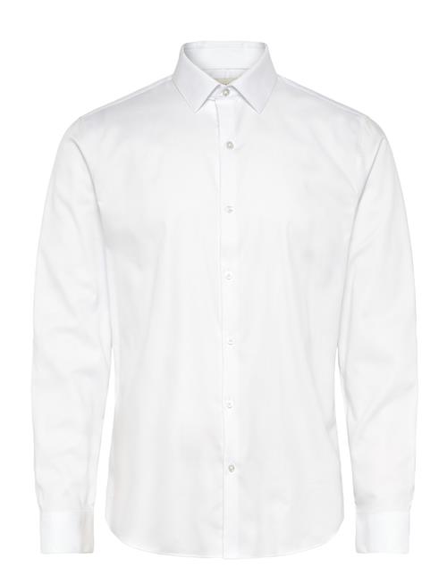 Calvin Klein | Slim Str Collar Sld | 41