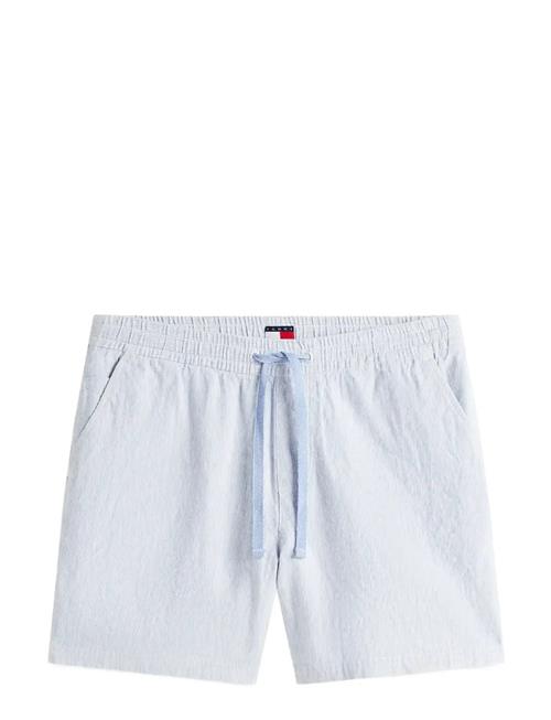 Tommy Jeans | Tjm Linen Blend Stripe Short | XL