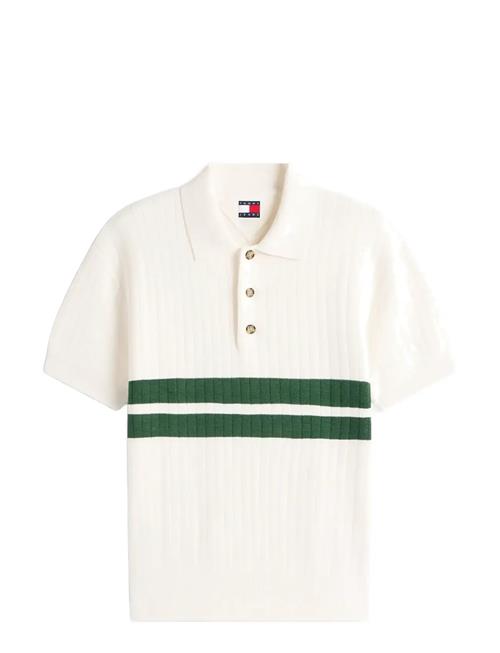 Tommy Jeans | Tjm Reg Ss Knitted Polo | XL