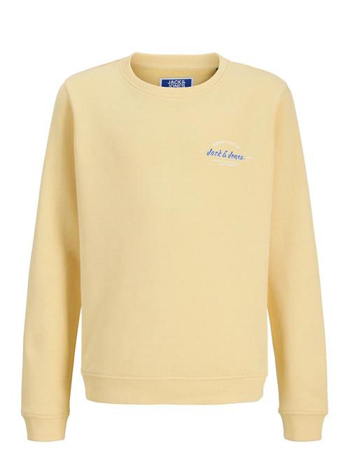 Jack & Jones | Jjbrandon Sweat Crew Neck Jnr | 152