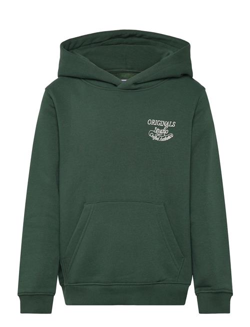 Jack & Jones | Jorniagara Typo Sweat Hood Jnr | 164