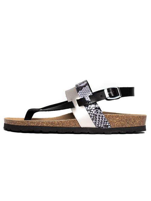 Bayton Sandaler med rem 'Lajas'  sort / sølv