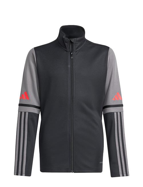 adidas Performance | Sq25 Tr Jkt Y | 152