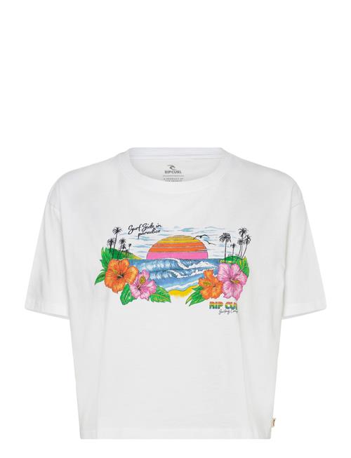 Rip Curl | Sun Rays Cropped Tee | S